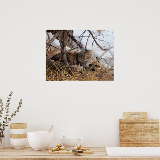 Winter Woodland Feral Cat Print (Keuken)