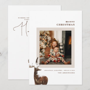 Winter Woodland Herten Foto Kerstmis