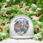 Winter Wreath Dog's FotoKerstmis Sneeuwbol<br><div class="desc">Foto Sneeuw Wereldbol met de favoriete foto van uw hond. Personaliseer het met zijn/haar naam en jaar. Verander de tekst en personaliseer deze zoals u dat wilt.</div>