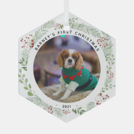 Winter Wreath Pet's foto Glas Ornament