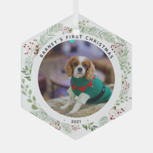 Winter Wreath Pet's foto Glas Ornament