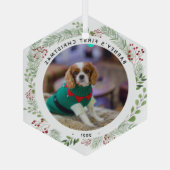 Winter Wreath Pet's foto Glas Ornament (Achterkant)