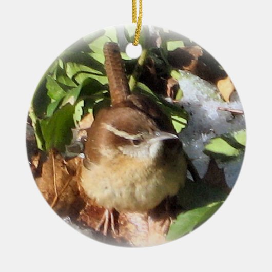Winter Wren Keramisch Ornament (Voorkant)