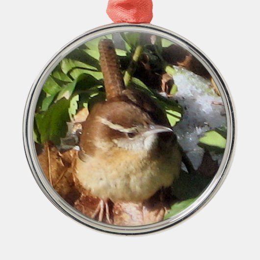 Winter Wren Metalen Ornament (Voorkant)