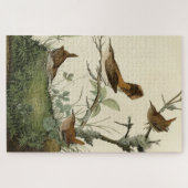Winter Wren, Rock Wren, Audubon's Birds of America Legpuzzel (Horizontaal)