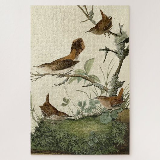 Winter Wren, Rock Wren, Audubon's Birds of America Legpuzzel (Verticaal)
