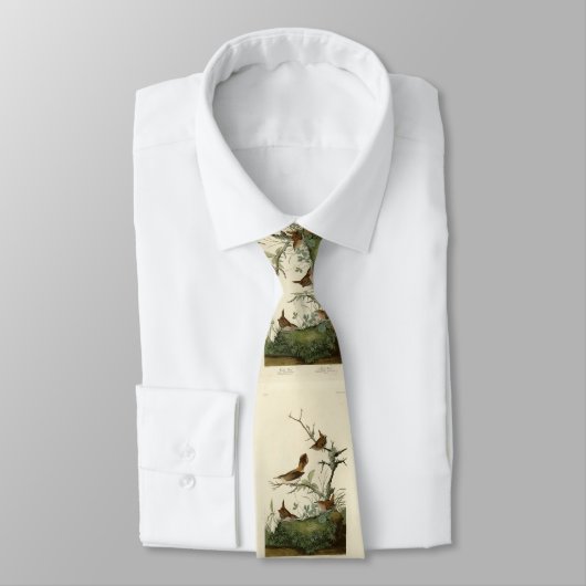 Winter Wren, Rock Wren, Audubon's Birds of America Stropdas (Gebonden)