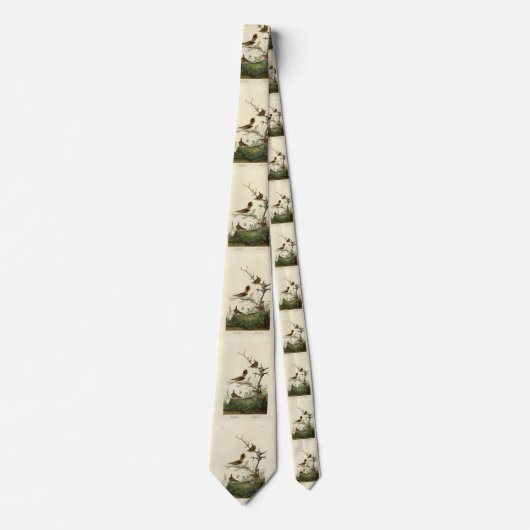 Winter Wren, Rock Wren, Audubon's Birds of America Stropdas (Voorkant)