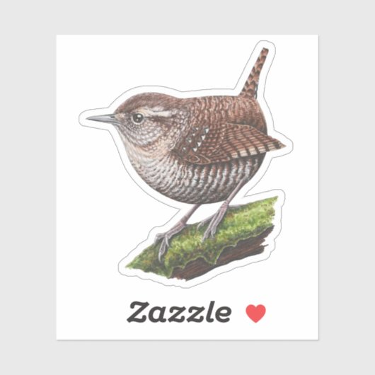 Winter Wren Sticker (Vel)