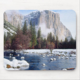 Winter Yosemite National Park Muismat