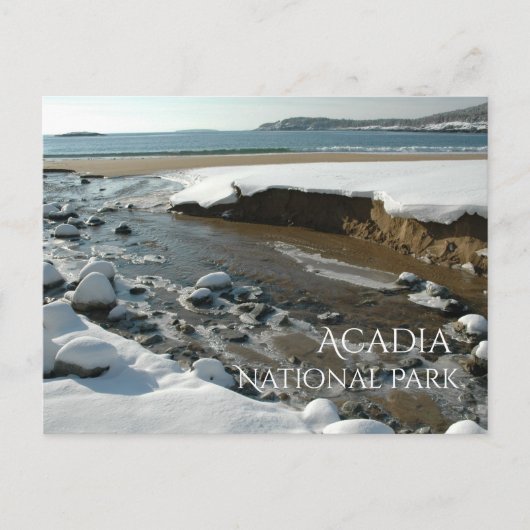 Winter, Zandstrand, Acadia National Park, ME Briefkaart (Voorkant)