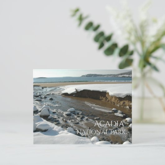 Winter, Zandstrand, Acadia National Park, ME Briefkaart (Staand voorkant)