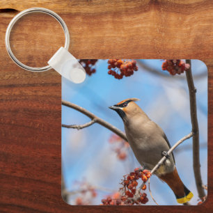 Winter Zangvogel, Boomkruiper Sleutelhanger