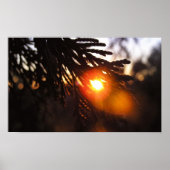 Winter Zon Poster (Voorkant)