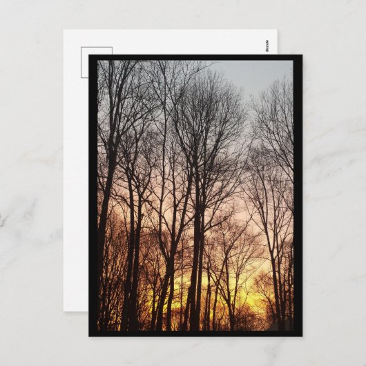 Winter zonsopgang-kerstochtend feestdagenkaart (Voorkant / Achterkant)