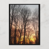 Winter zonsopgang-kerstochtend feestdagenkaart (Voorkant)