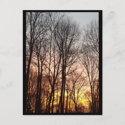 Winter zonsopgang-kerstochtend feestdagenkaart (Voorkant)