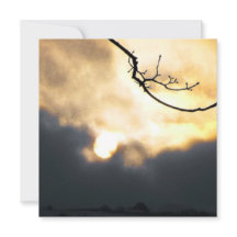 Winter Zonsopgang Telefoon