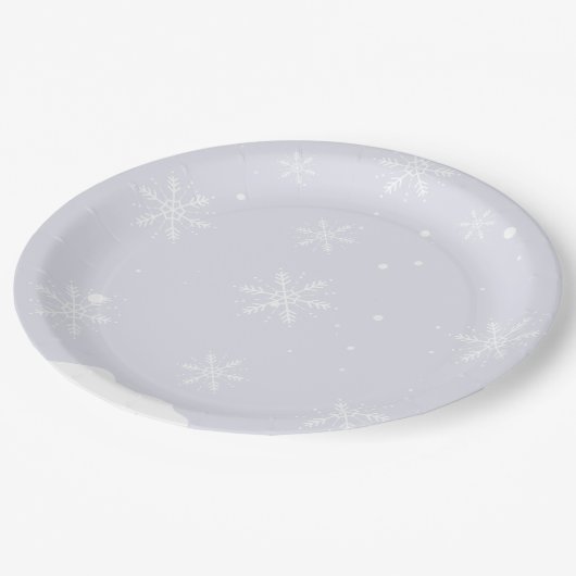 Winter zwembad verjaardagsfeestje papieren bordje (Gekanteld)