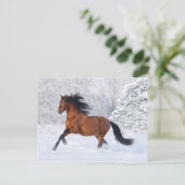 Winterbaai Briefkaart (Staand voorkant)