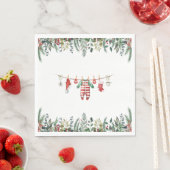 WinterBaby shower Servet (Insitu)