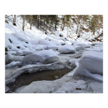 Winterberg Rivier – Wilde Natuur Roemenië