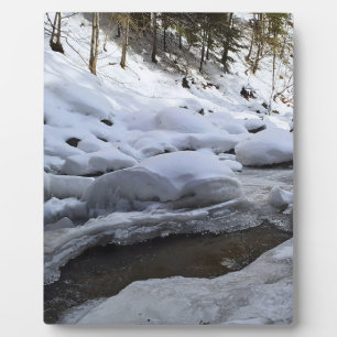 Winterberg Rivier – Wilde Natuur Roemenië Fotoplaat