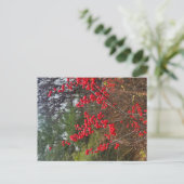 Winterberry Briefkaart (Staand voorkant)