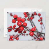 Winterberry Briefkaart (Voorkant / Achterkant)