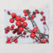 Winterberry Briefkaart (Voorkant)