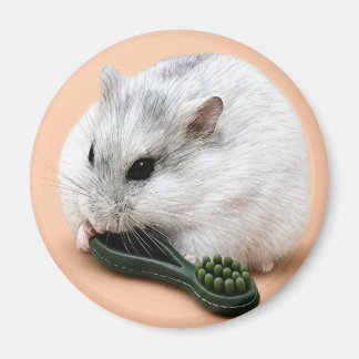Winterberry de hamster kauwt op een kauwspelgoed  magneet