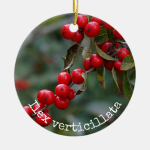 Winterberry Holly Botanical Keramisch Ornament