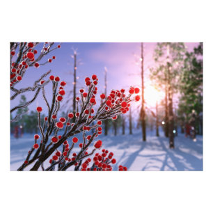 Winterberry in Ice Photo Print Foto Afdruk