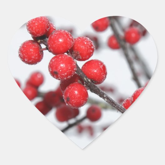 Winterberry Sticker (Voorkant)