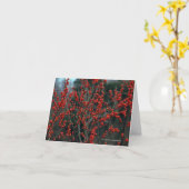 Winterberry verticillata van Ilex, Kaart (Gele Bloem)