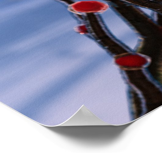 Winterbes in ijskap poster (Hoek)