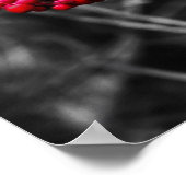 Winterbessen afdrukken poster (Hoek)