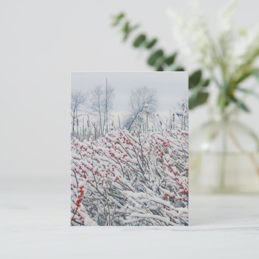 winterbessen en kattails briefkaart (Staand voorkant)