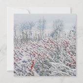winterbessen en kattails kaart (Voorkant)