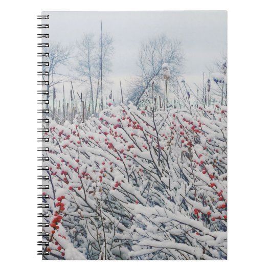winterbessen en kattails notitieboek (Voorkant)