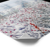 winterbessen en kattails poster (Hoek)