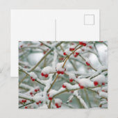 Winterbessen Feestdagenkaart (Voorkant / Achterkant)