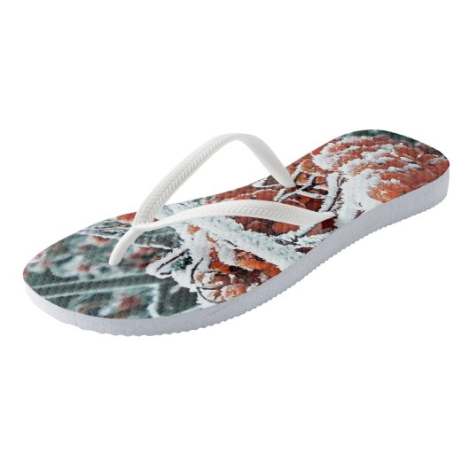 Winterbessen van rowan met ijs teenslippers (Schuin)