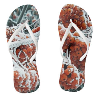 Winterbessen van rowan met ijs teenslippers