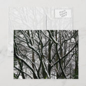 Winterbijkantoren Briefkaart (Voorkant / Achterkant)