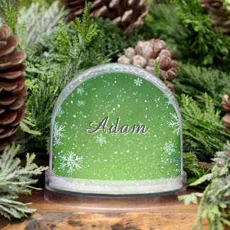 Winterblad rondom de scène sneeuwbol