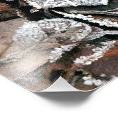 WINTERBLADEREN FOTO AFDRUK (Hoek)