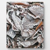 WINTERBLADEREN FOTOPLAAT (Voorkant)