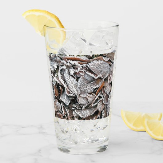 WINTERBLADEREN GLAS (Voorkant ijs)