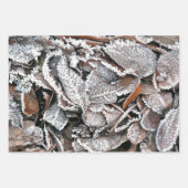 WINTERBLADEREN INPAKPAPIER VEL (Voorkant 2)